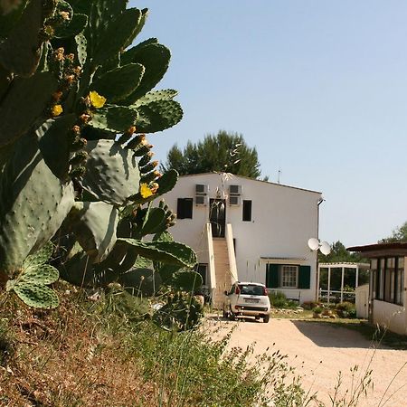 Agriturismo Affittacamere Atlhos Vieste Exterior photo